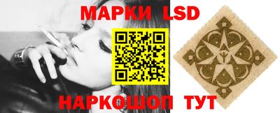 spice Дубна