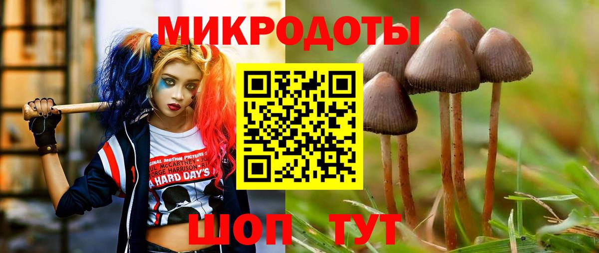 Галлюциногенные грибы Psilocybine cubensis Малоярославец