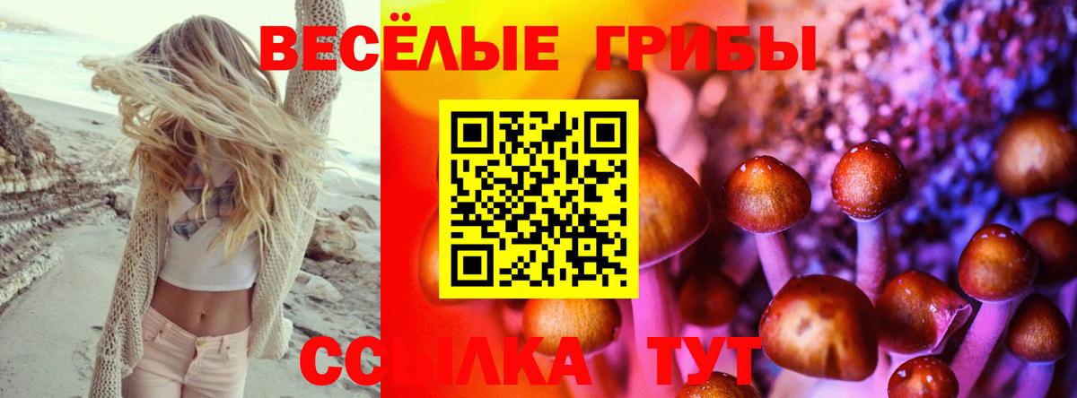 Малоярославец  Псилоцибиновые грибы Cubensis  Вход с VPN 